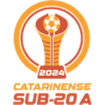 https://media.api-sports.io/football/leagues/1076.png