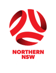 https://media.api-sports.io/football/leagues/481.png