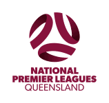 https://media.api-sports.io/football/leagues/482.png