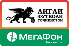 https://media.api-sports.io/football/leagues/571.png