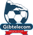 Premier Division logo