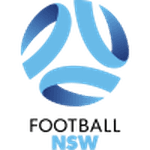 https://media.api-sports.io/football/leagues/835.png