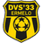 DVS 33 Ermelo