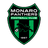 Monaro Panthers