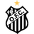 Operario Ferroviario