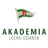 Akademia Piłkarska LG
