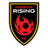 Phoenix Rising