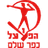 Hapoel Kfar Shalem