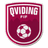 Qviding FIF